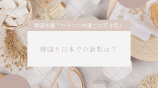 ウヨンウ弁護士は天才肌