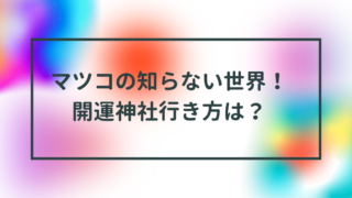 マツコの知らない世界！開運神社はどこ？