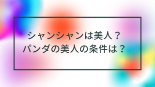 シャンシャンは美人？パンダの美人の条件は？