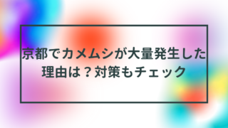 京都でカメムシが大量発生した理由は？対策もチェック