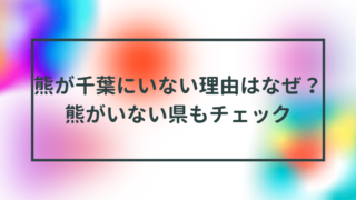 熊が千葉にいない理由はなぜ？熊がいない県もチェック