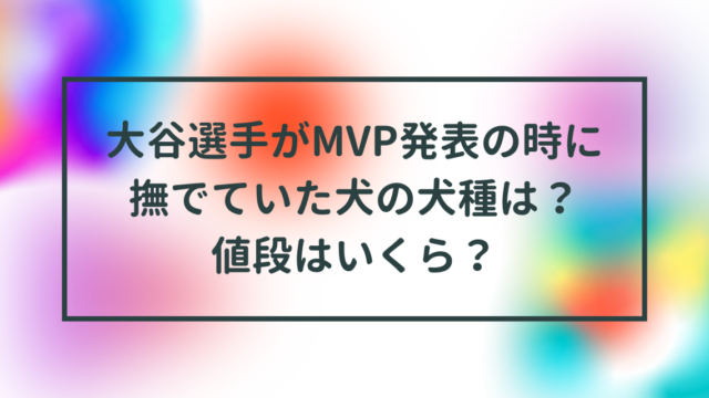 大谷選手がMVP発表の時に撫でていた犬の犬種は？値段はいくら？